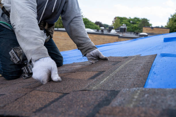 Best Storm Damage Roof Repair  in Kennett, MO